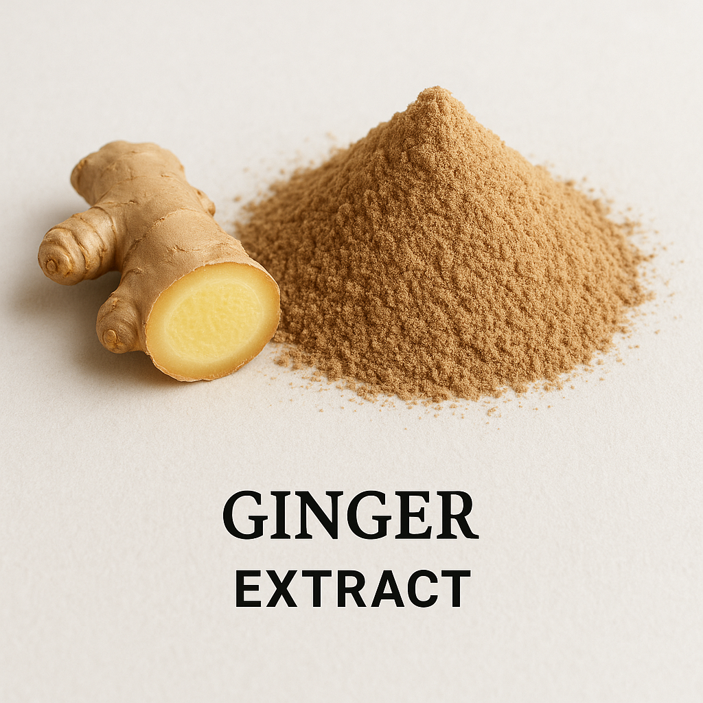 Ginger botanical extract ingredient