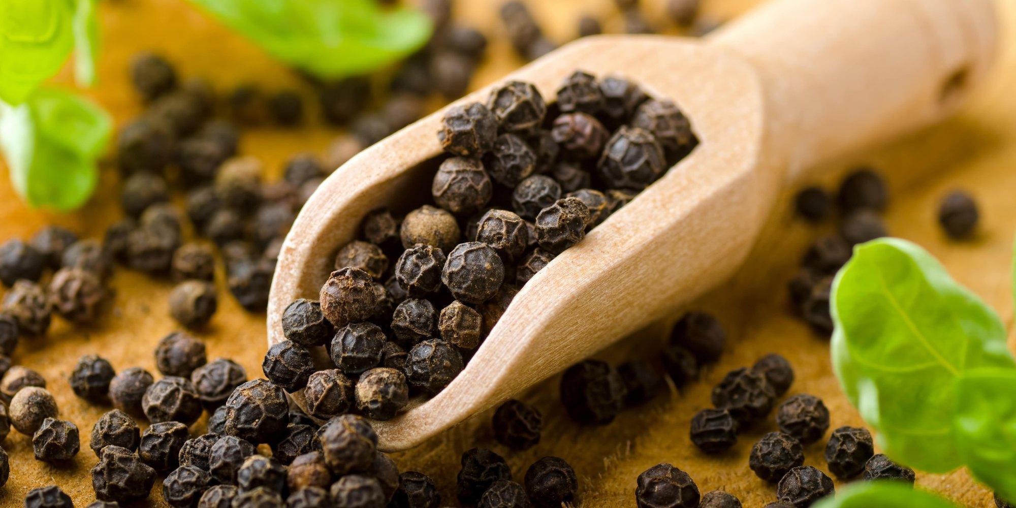 Piperine 95%,10% botanical extract ingredient