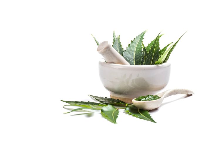 Neem Powder Extract botanical extract ingredient