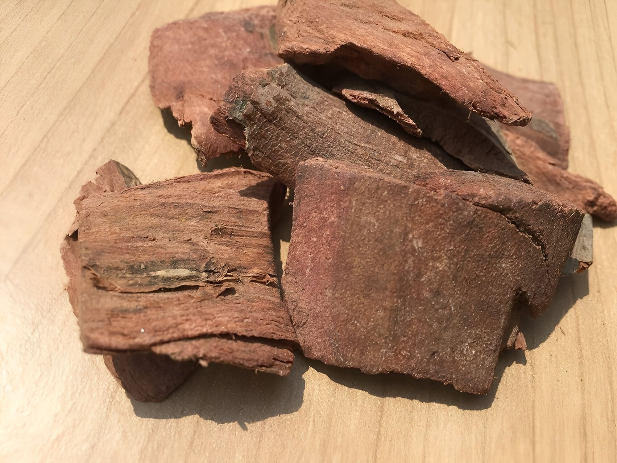 Arjuna botanical extract ingredient