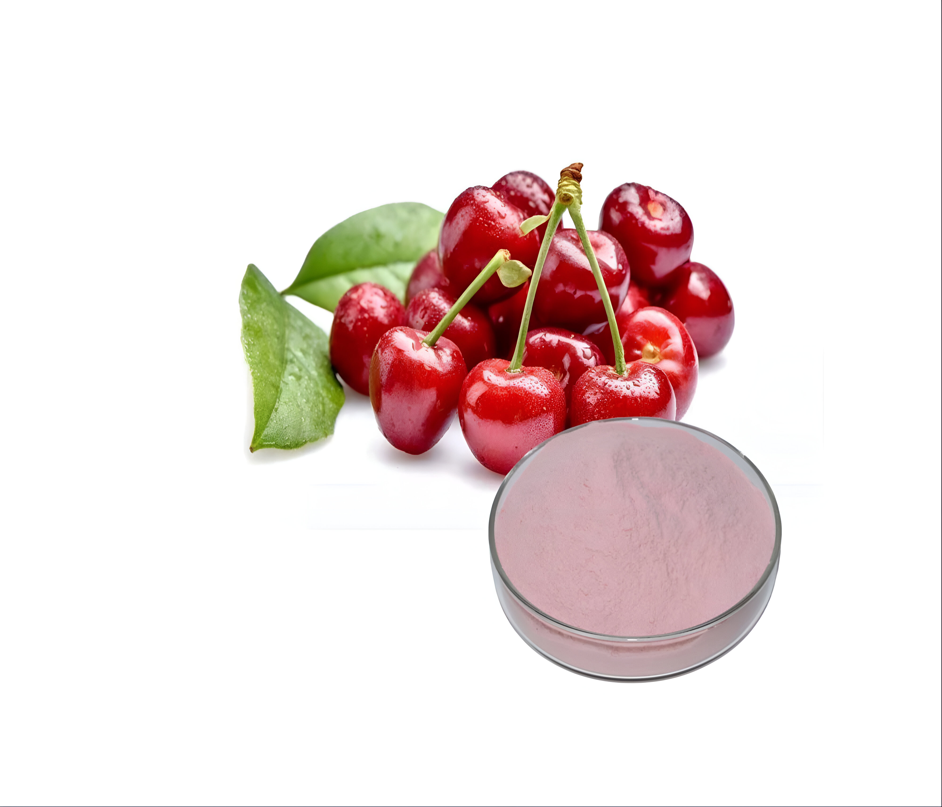 Acerola Cherry botanical extract ingredient