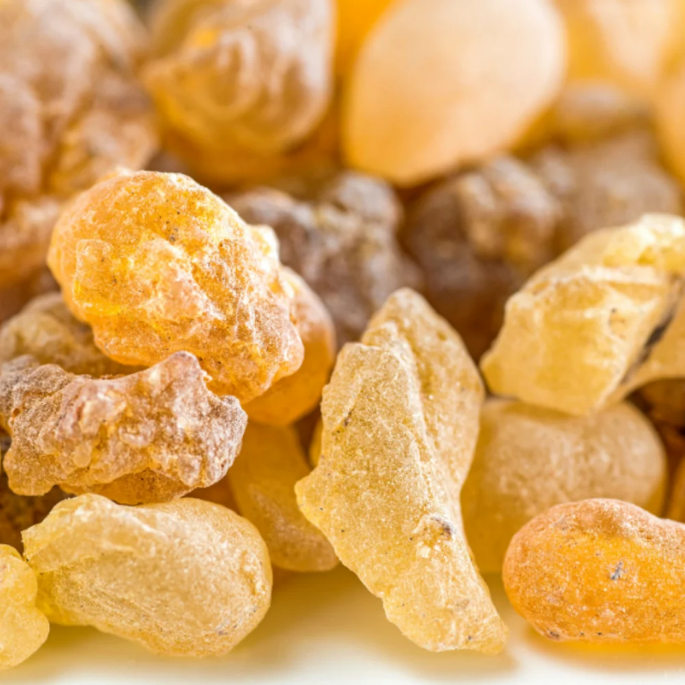 Guggul botanical extract ingredient