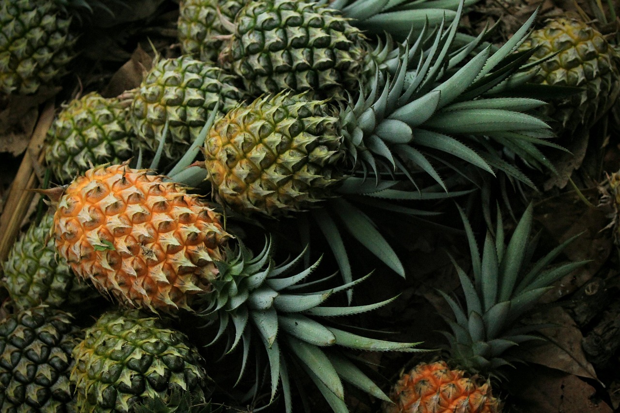 Pineapple botanical extract ingredient
