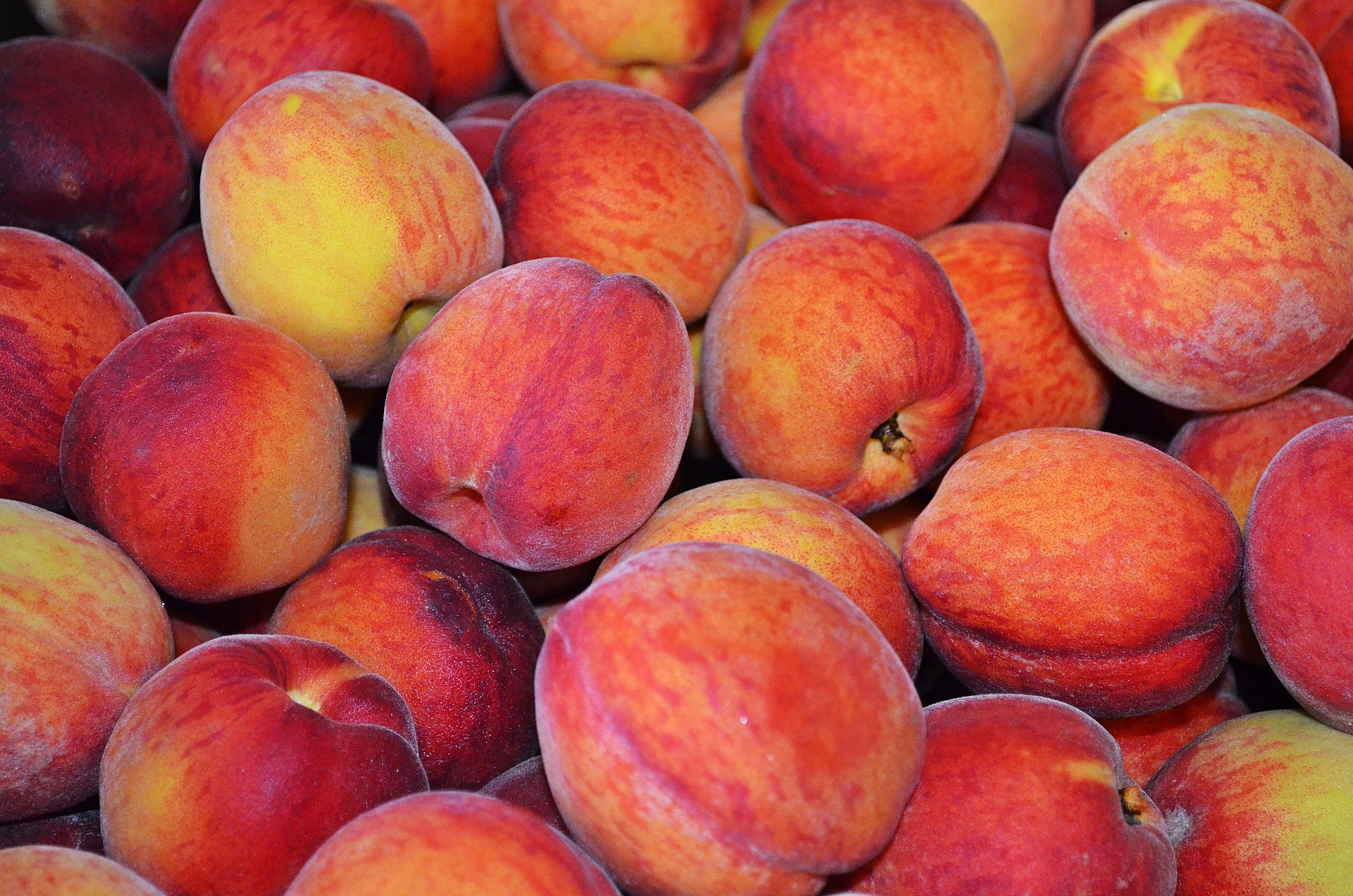 Peach botanical extract ingredient