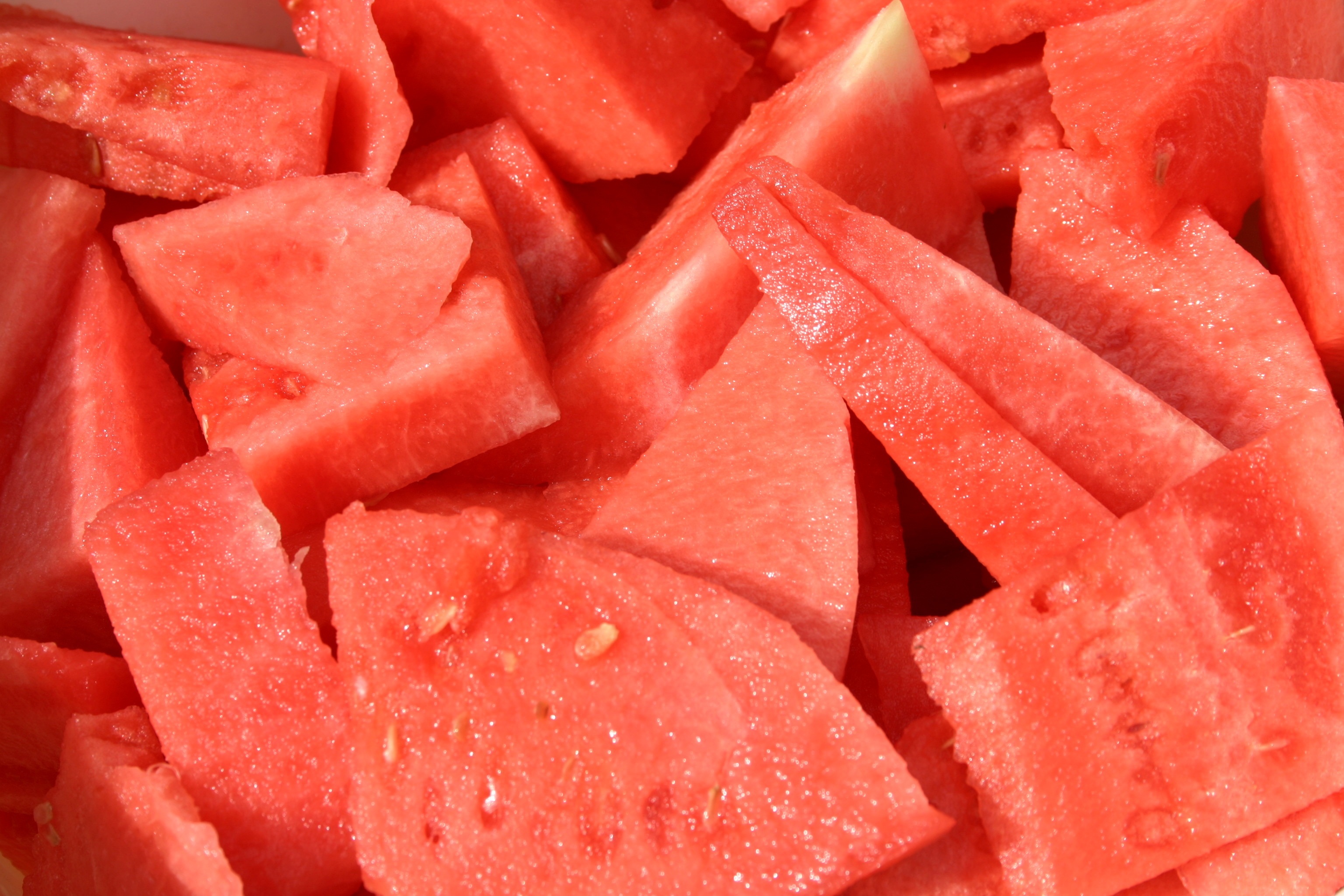 Watermelon botanical extract ingredient
