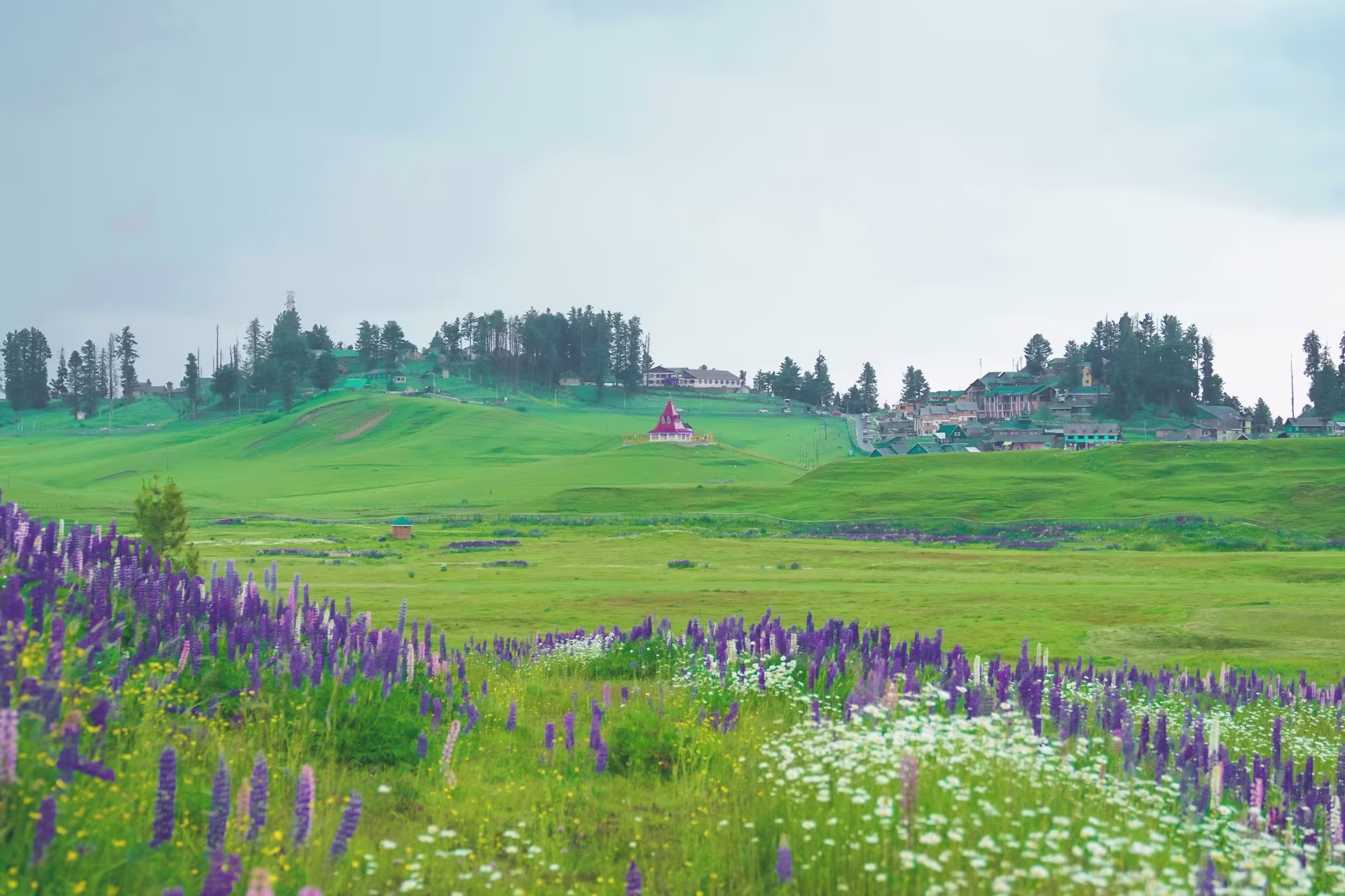 Paradise Kashmir - Explore the Heavenly Landscape