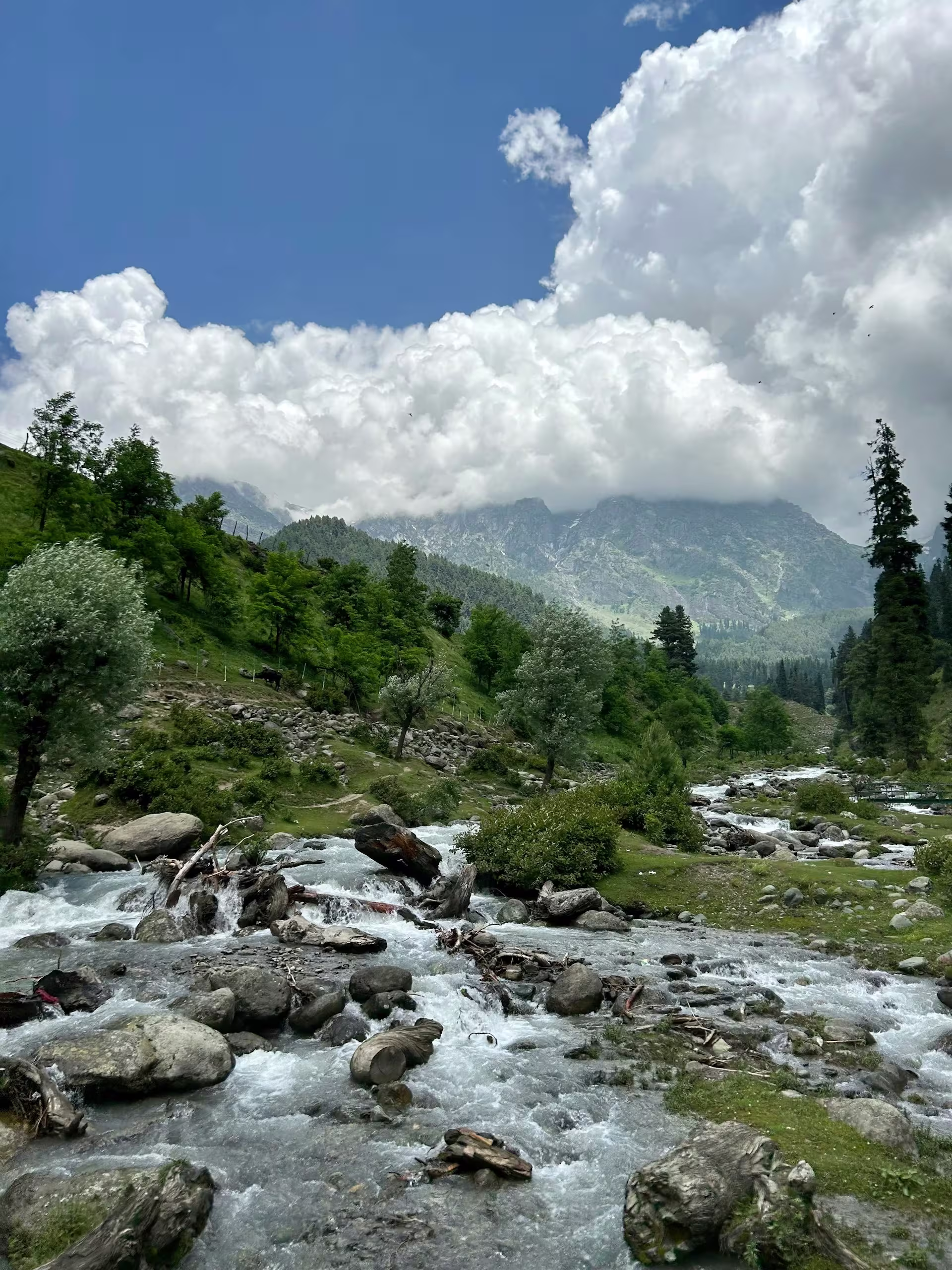 Delighted Pahalgam - Explore the Beauty of Kashmir