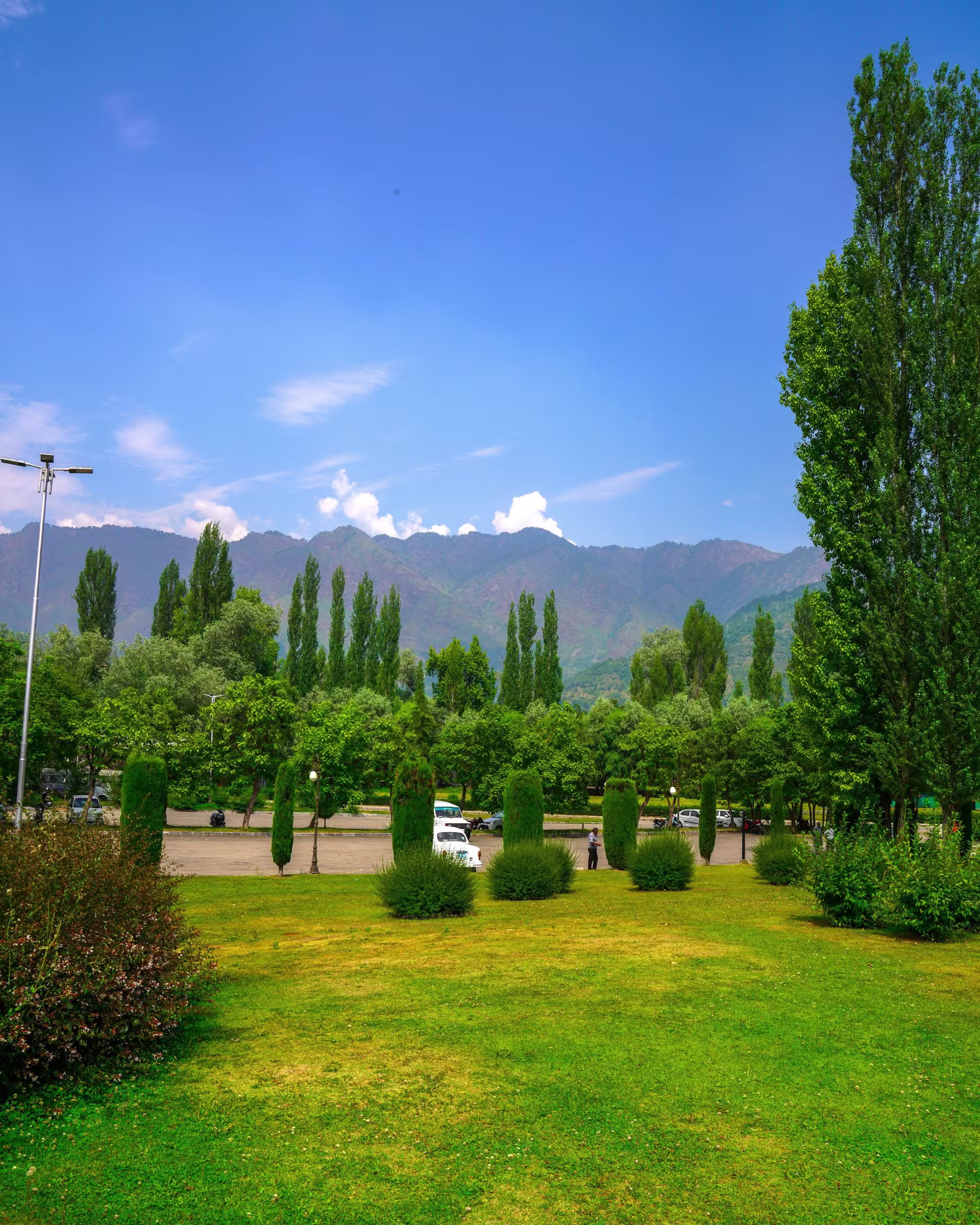 Amazing Kashmir - 5 Days Package