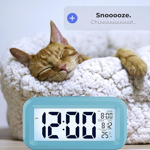 Vue 2 de Apm Snooooze Reveil Numerique