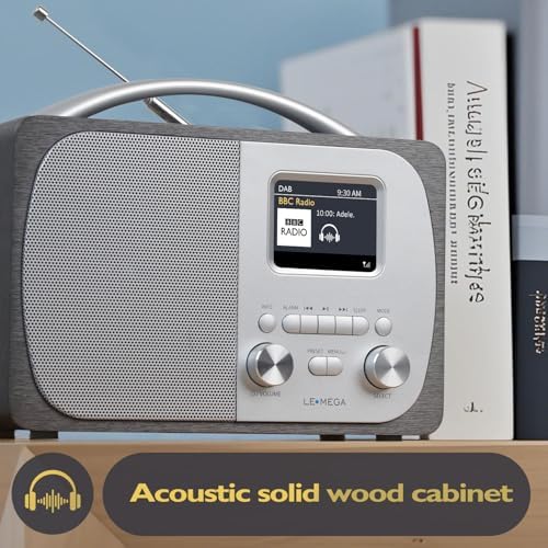 Vue 5 de Lemega Dr Radio Numerique