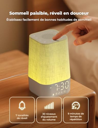 Vue 7 de Liorque Reveil Lumineux Simulateur