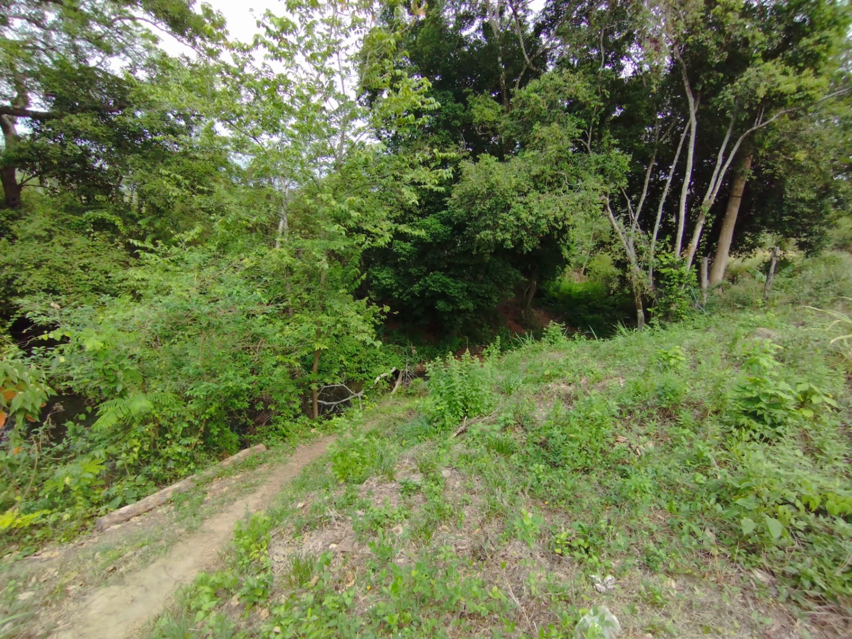 Terreno en venta en Cabudare (Maporal sector Las Yaguas), foto 5 de 12