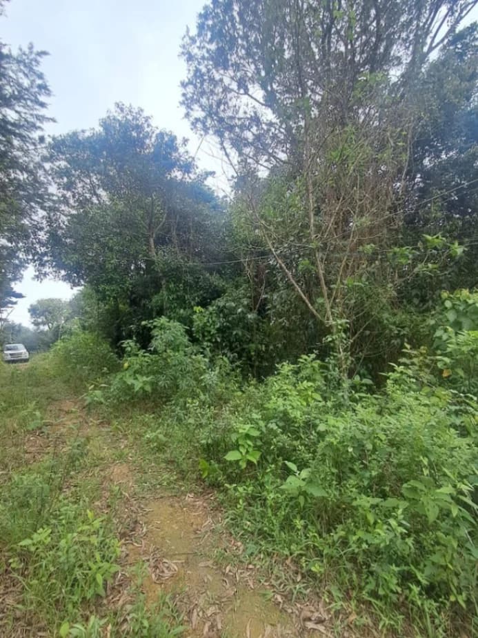 Terreno en venta en La Guaira (Urb. La Niebla), foto 3 de 4
