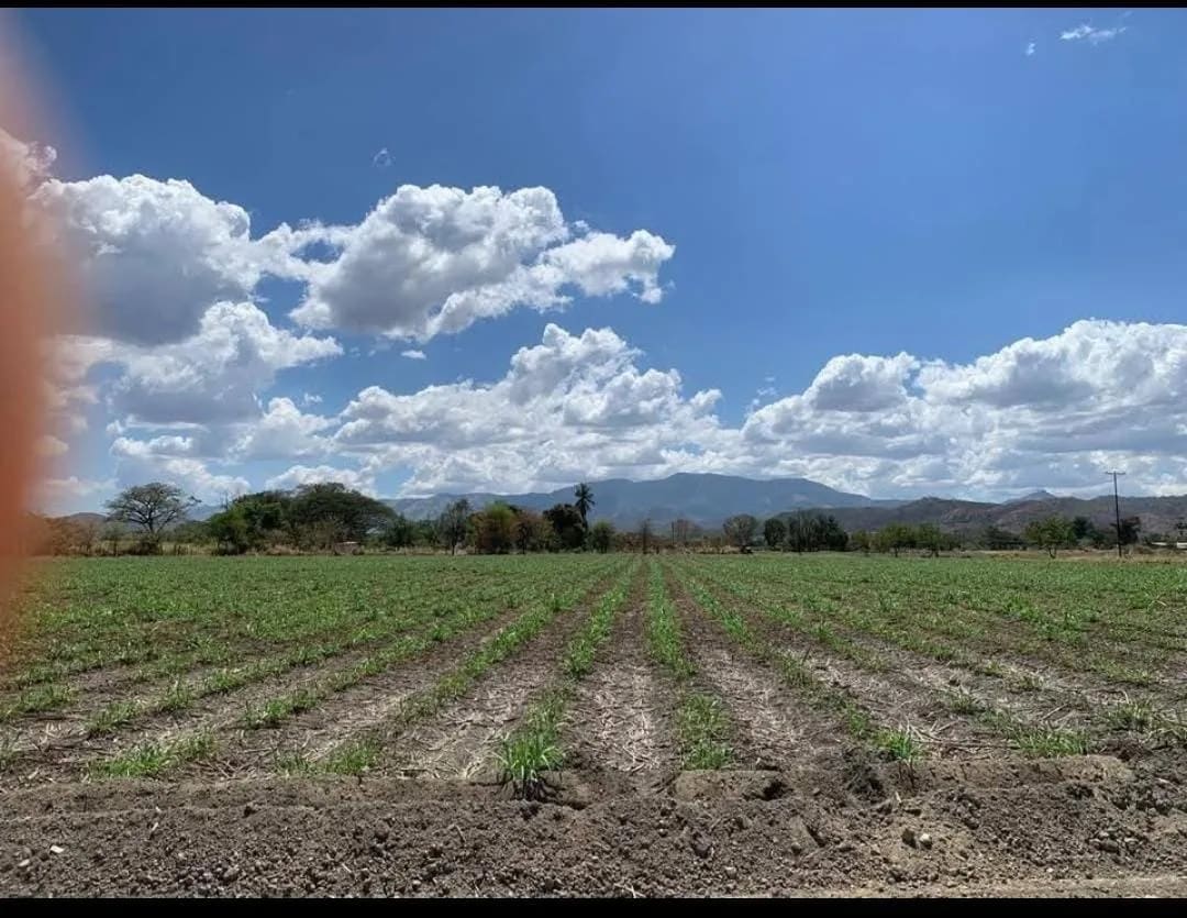 Terreno en venta en Valencia (Municipiom Carlos Arvelo), foto 5 de 11