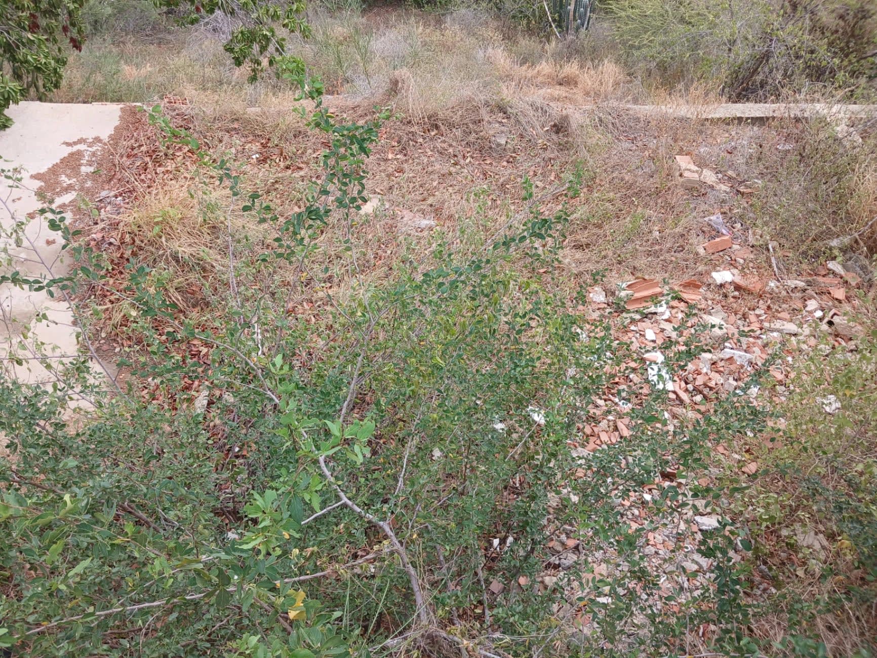 Terreno en venta en La Guaira (Catia la mar av la atlantida urb privada), foto 3 de 12