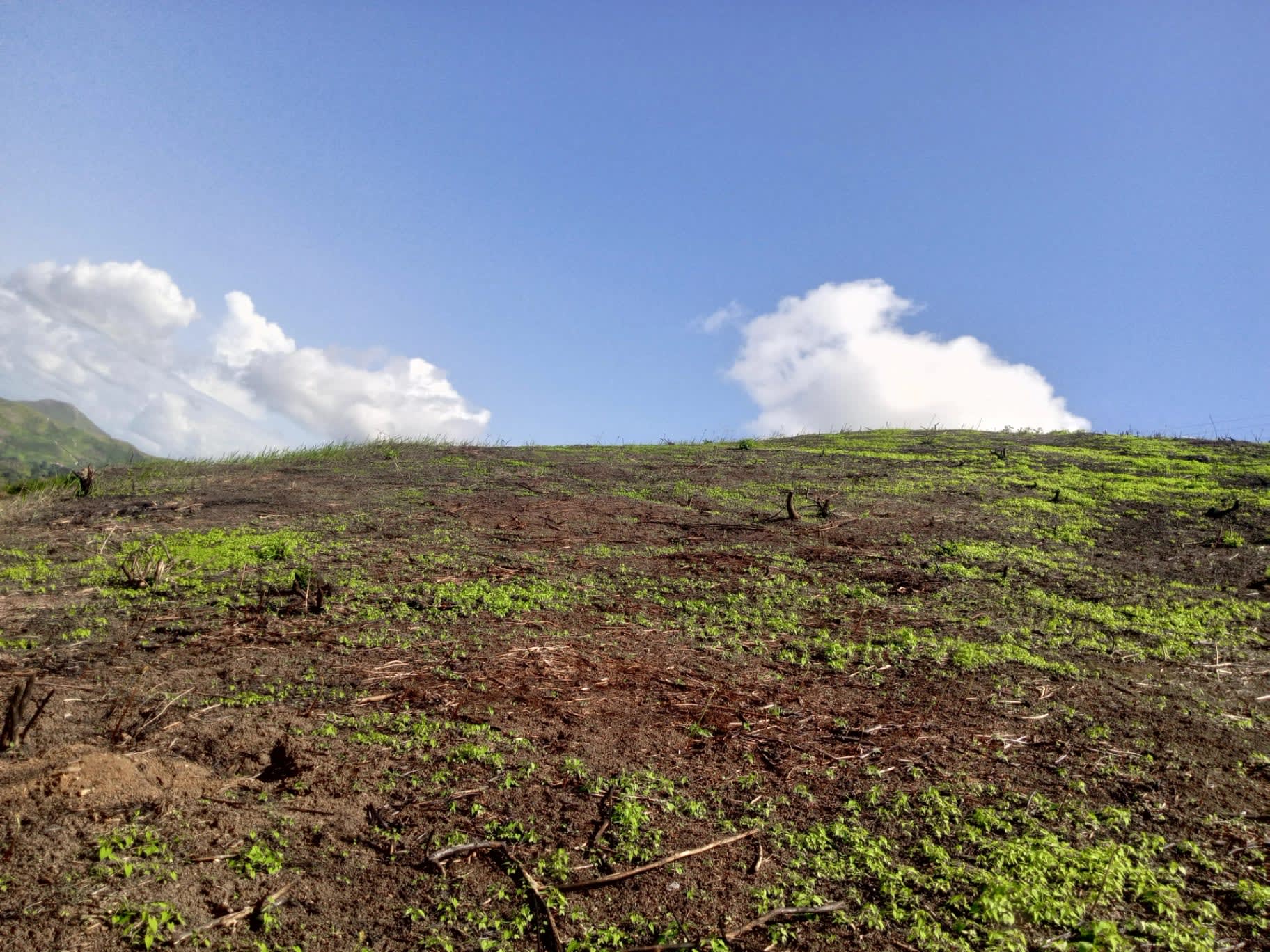 Terreno en venta en Colonia Tovar, foto 2 de 8