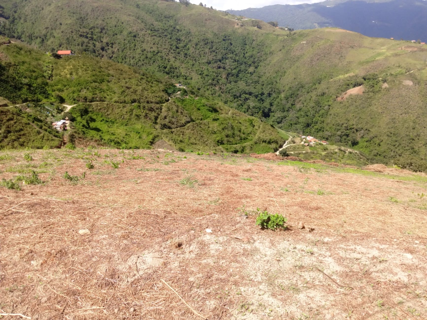 Terreno en venta en Colonia Tovar, foto 3 de 8