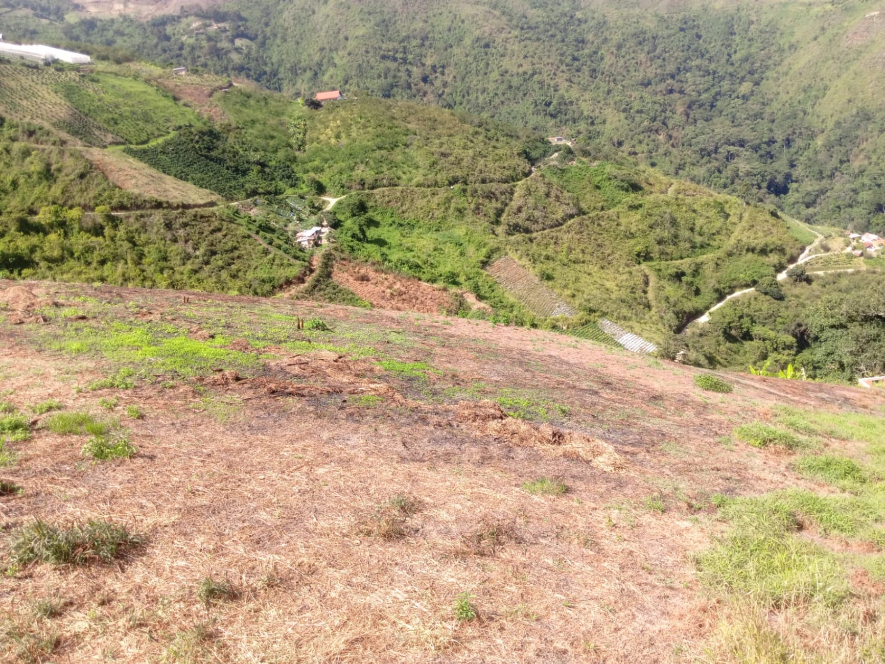 Terreno en venta en Colonia Tovar, foto 5 de 8