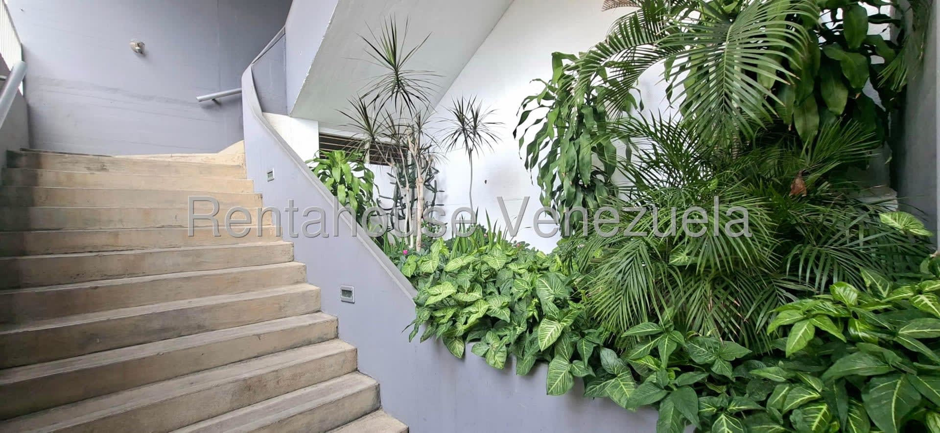 Apartamento en alquiler en Caracas (Santa Monica), foto 2 de 12