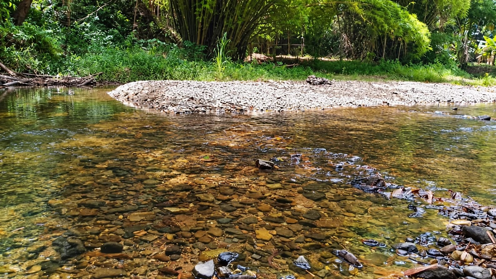 Terreno en venta en La Guaira (La Sabana), foto 5 de 7
