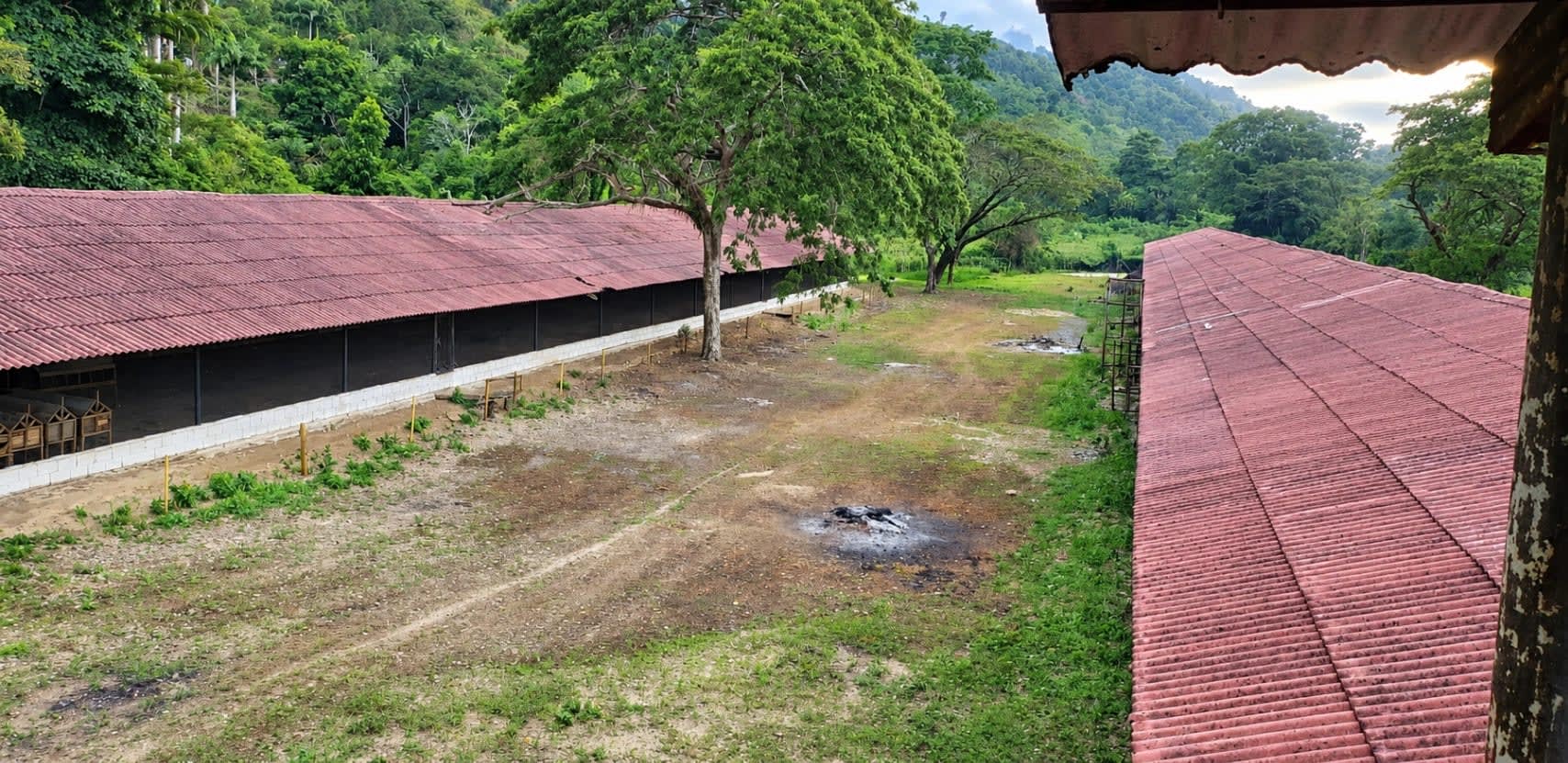 Terreno en venta en La Guaira (La Sabana), foto 5 de 7