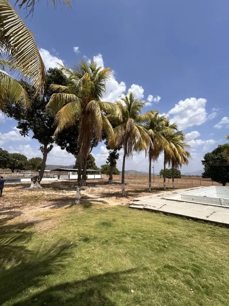 Terreno en venta en Tinaco (Agrofinca Botalón), foto 2 de 8