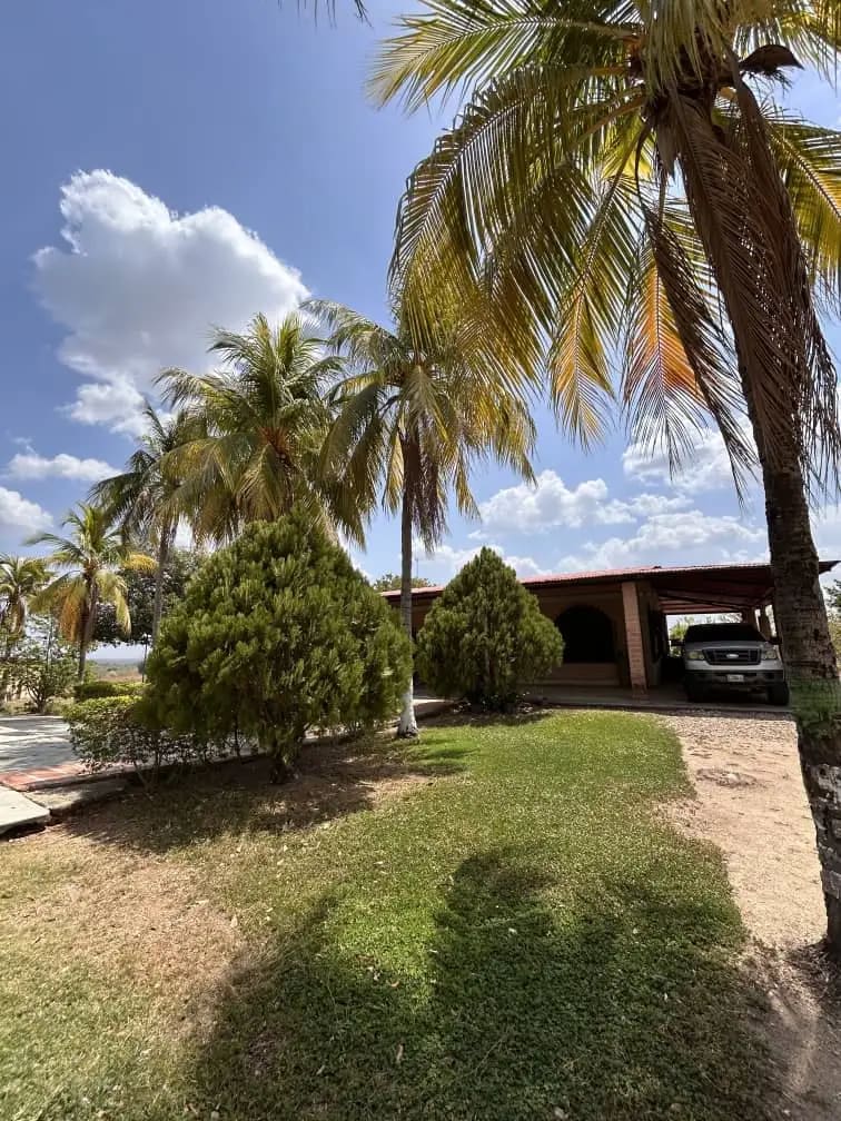 Terreno en venta en Tinaco (Agrofinca Botalón), foto 5 de 8