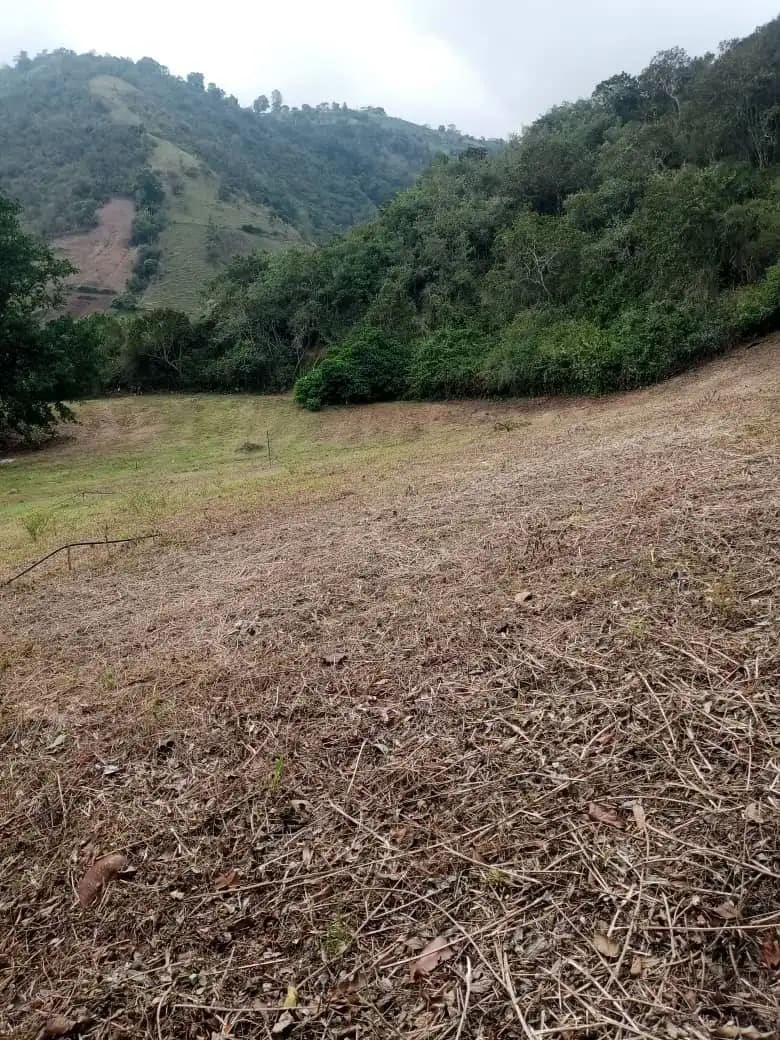 Terreno en venta en La Grita, foto 2 de 7