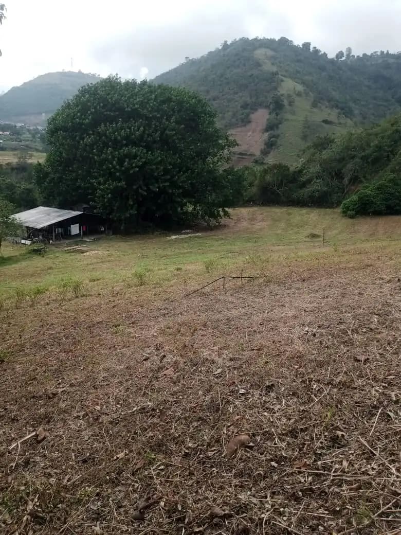 Terreno en venta en La Grita, foto 3 de 7
