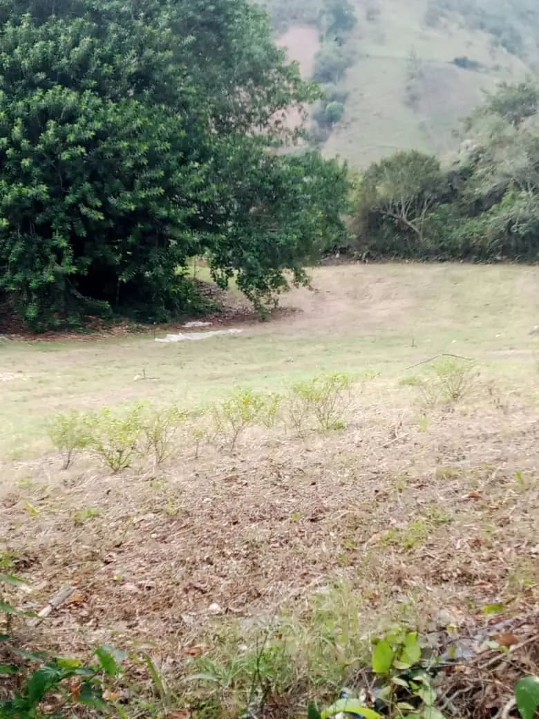 Terreno en venta en La Grita, foto 4 de 7