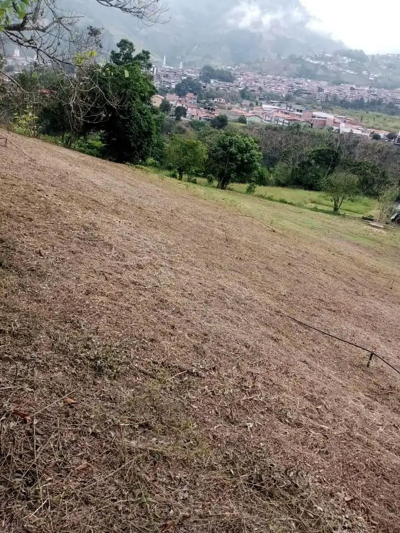 Terreno en venta en La Grita, foto 5 de 7