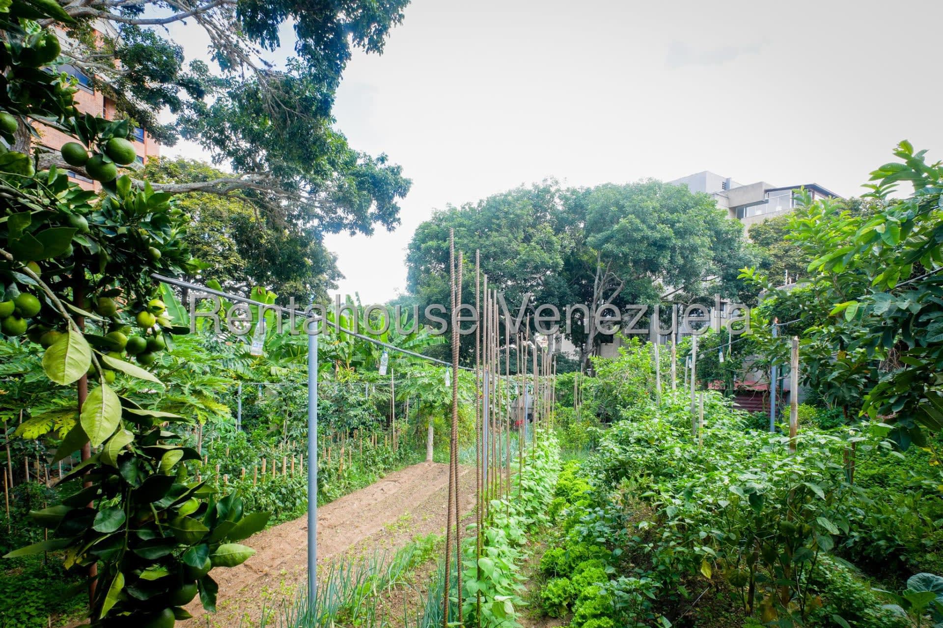 Terreno en venta en Caracas (La Tahona), foto 4 de 12