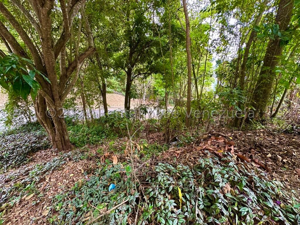 Terreno en venta en Caracas (Miranda), foto 5 de 9