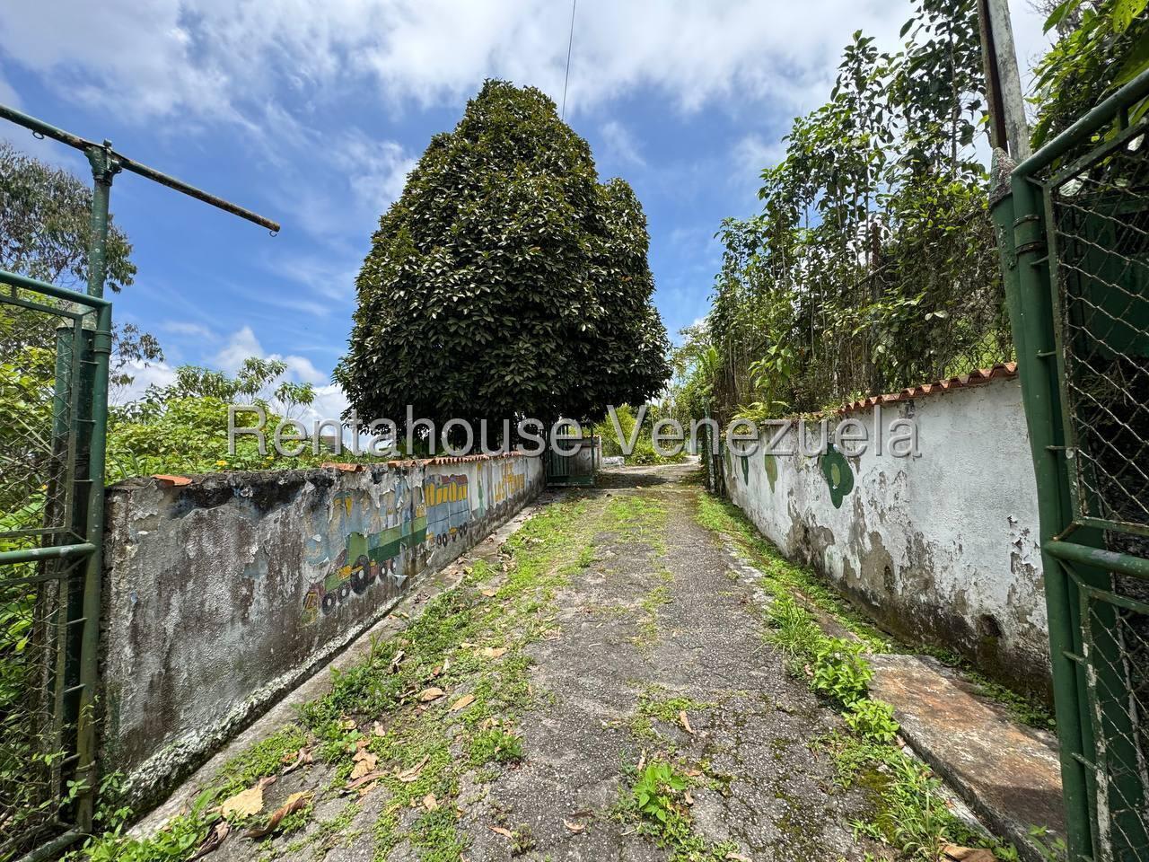 Terreno en venta en Carrizal, foto 3 de 12