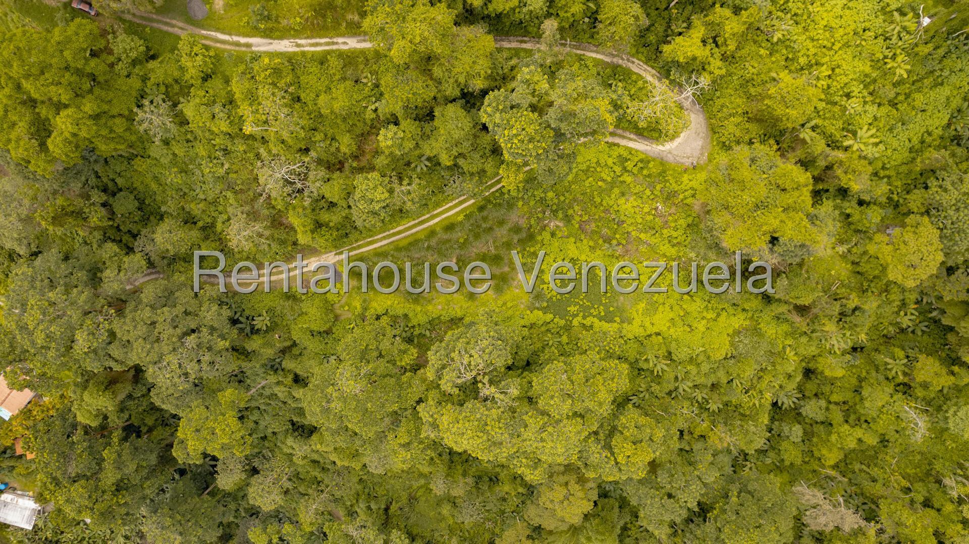 Terreno en venta en San Diego de Los Altos, foto 2 de 11