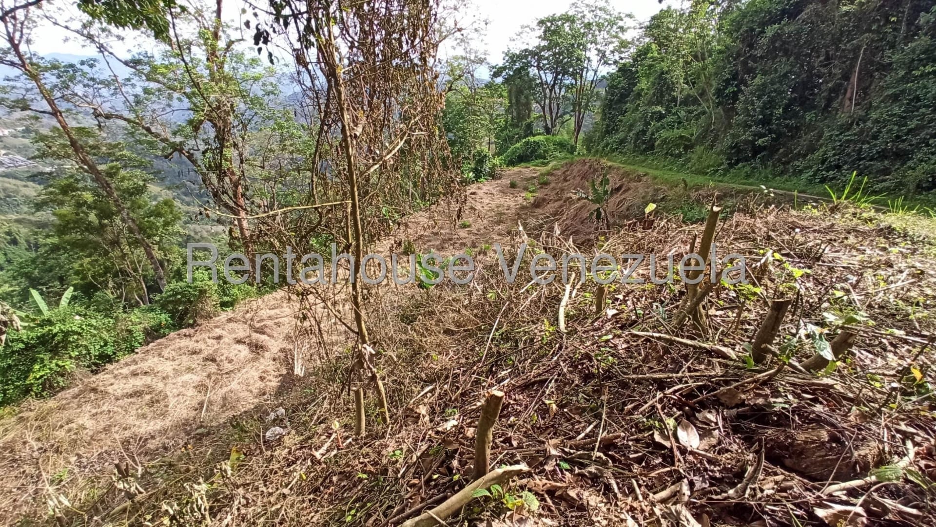 Terreno en venta en San Diego de Los Altos, foto 5 de 11