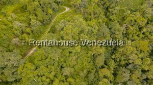 Terreno en venta en San Diego de Los Altos, foto 1 de 8