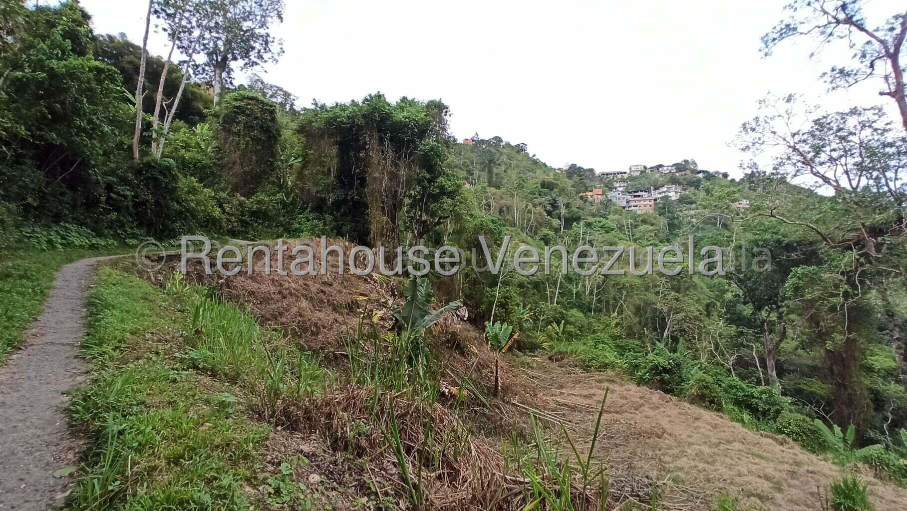 Terreno en venta en San Diego de Los Altos, foto 3 de 8