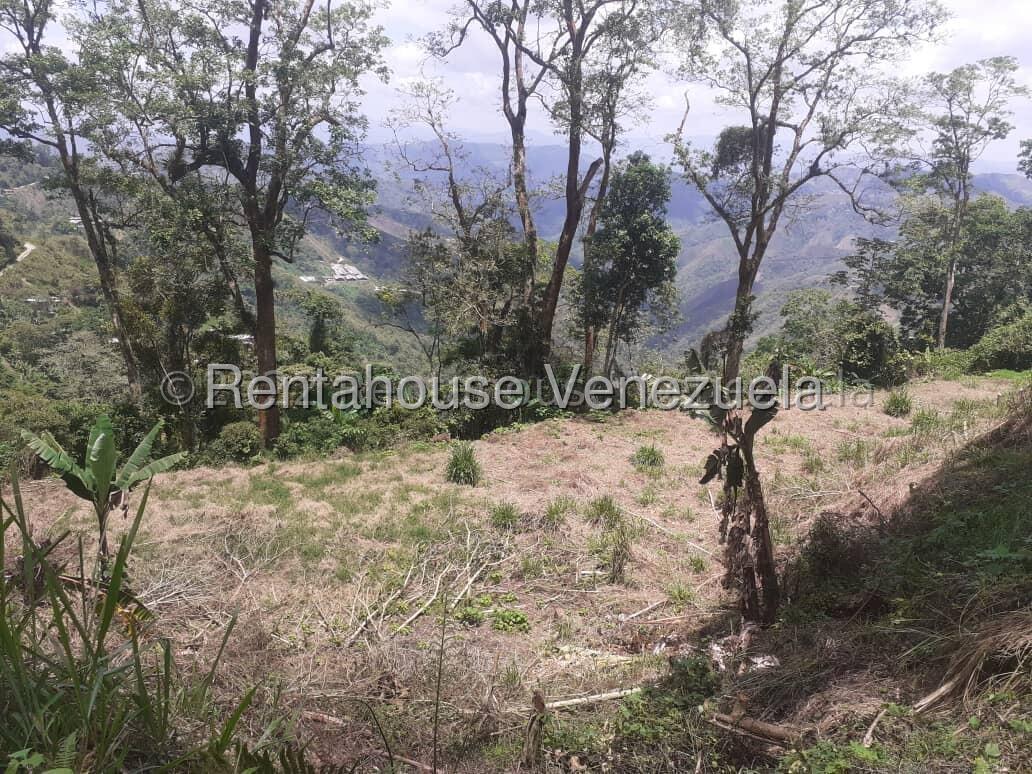 Terreno en venta en San Diego de Los Altos, foto 4 de 8