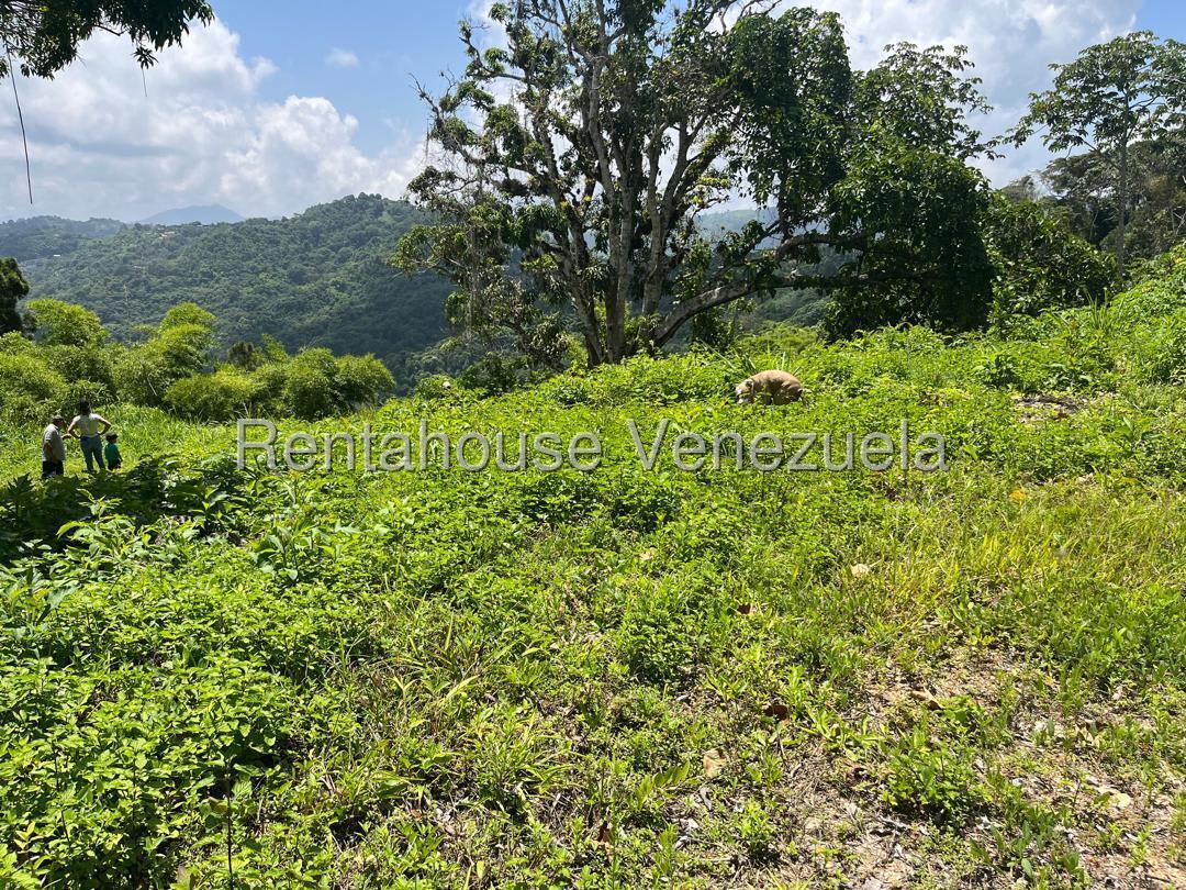Terreno en venta en Caracas (Gavilan), foto 2 de 6