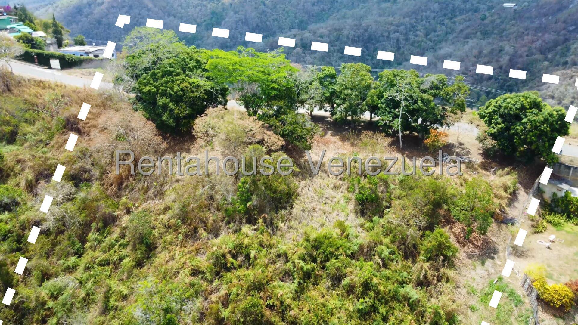 Terreno en venta en Caracas (Karimao Country), foto 4 de 11