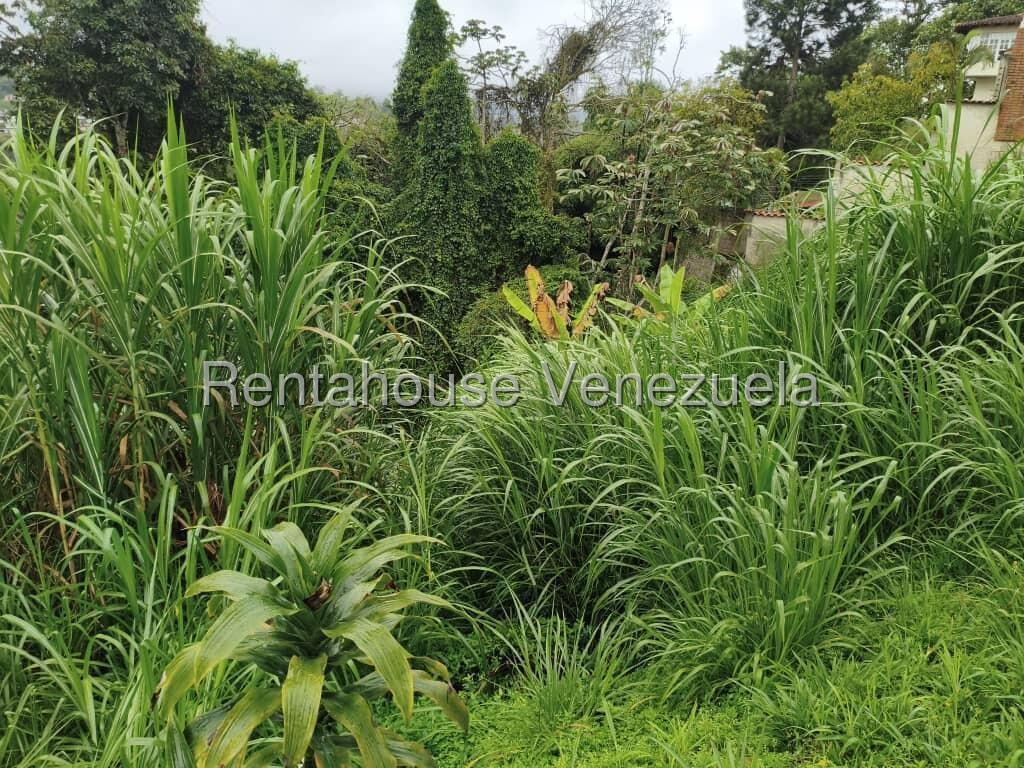 Terreno en venta en Caracas (Parque el Retiro), foto 2 de 9