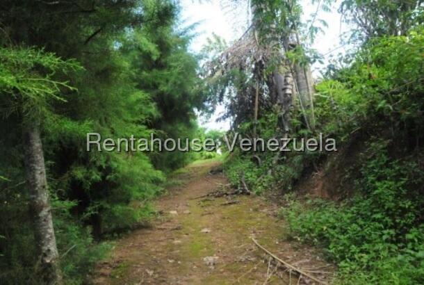 Terreno en venta en Caracas (El Hatillo), foto 4 de 12