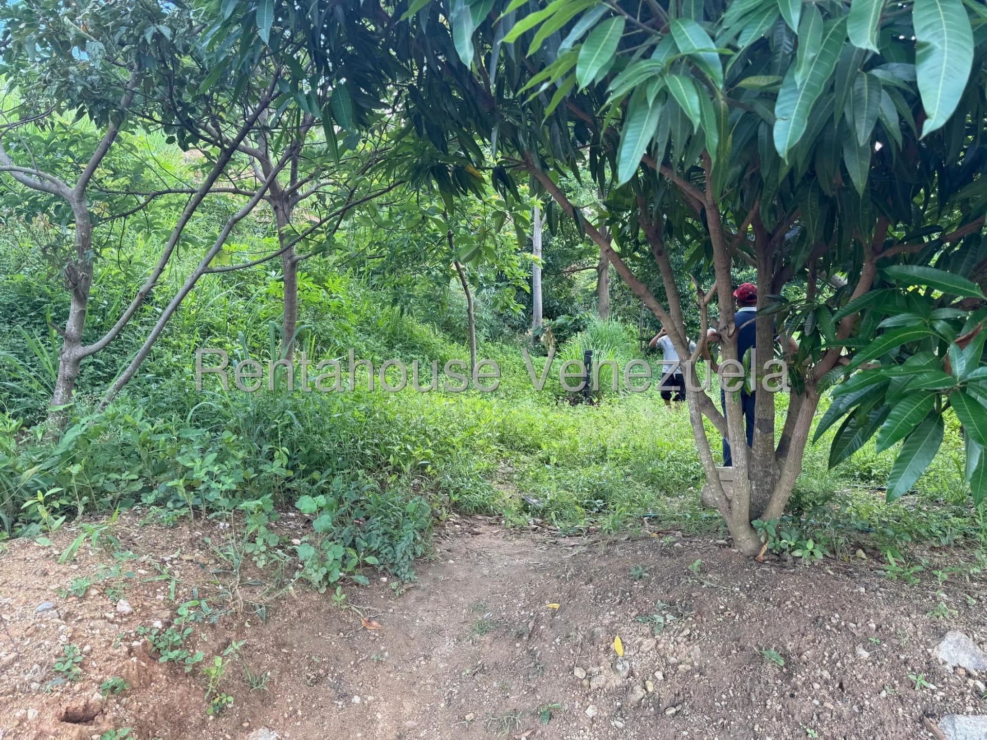 Terreno en venta en Caracas (La Rosa), foto 4 de 6