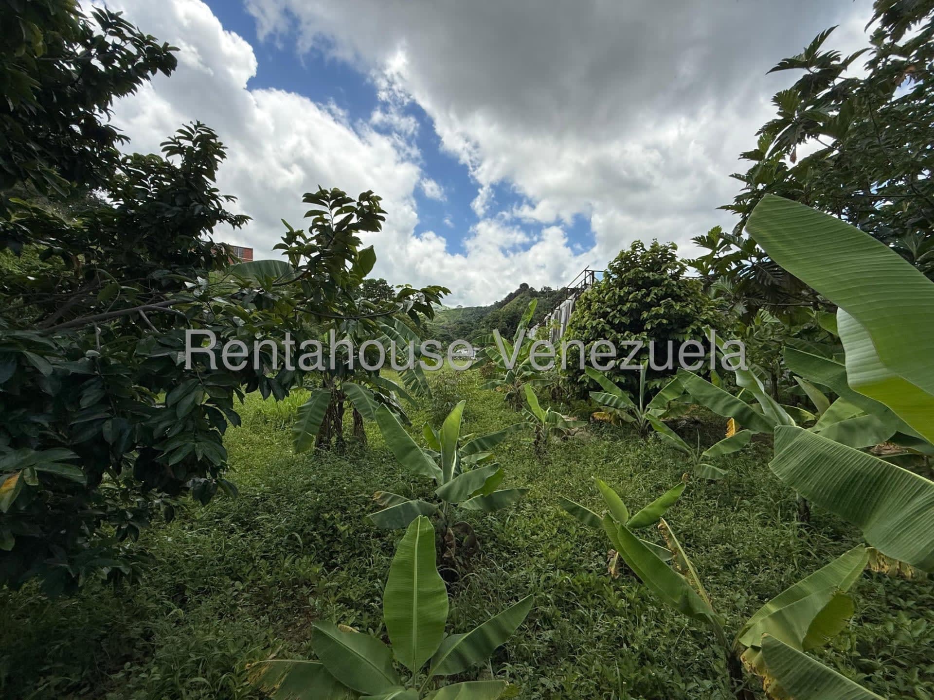 Terreno en venta en Caracas (La Rosa), foto 5 de 6
