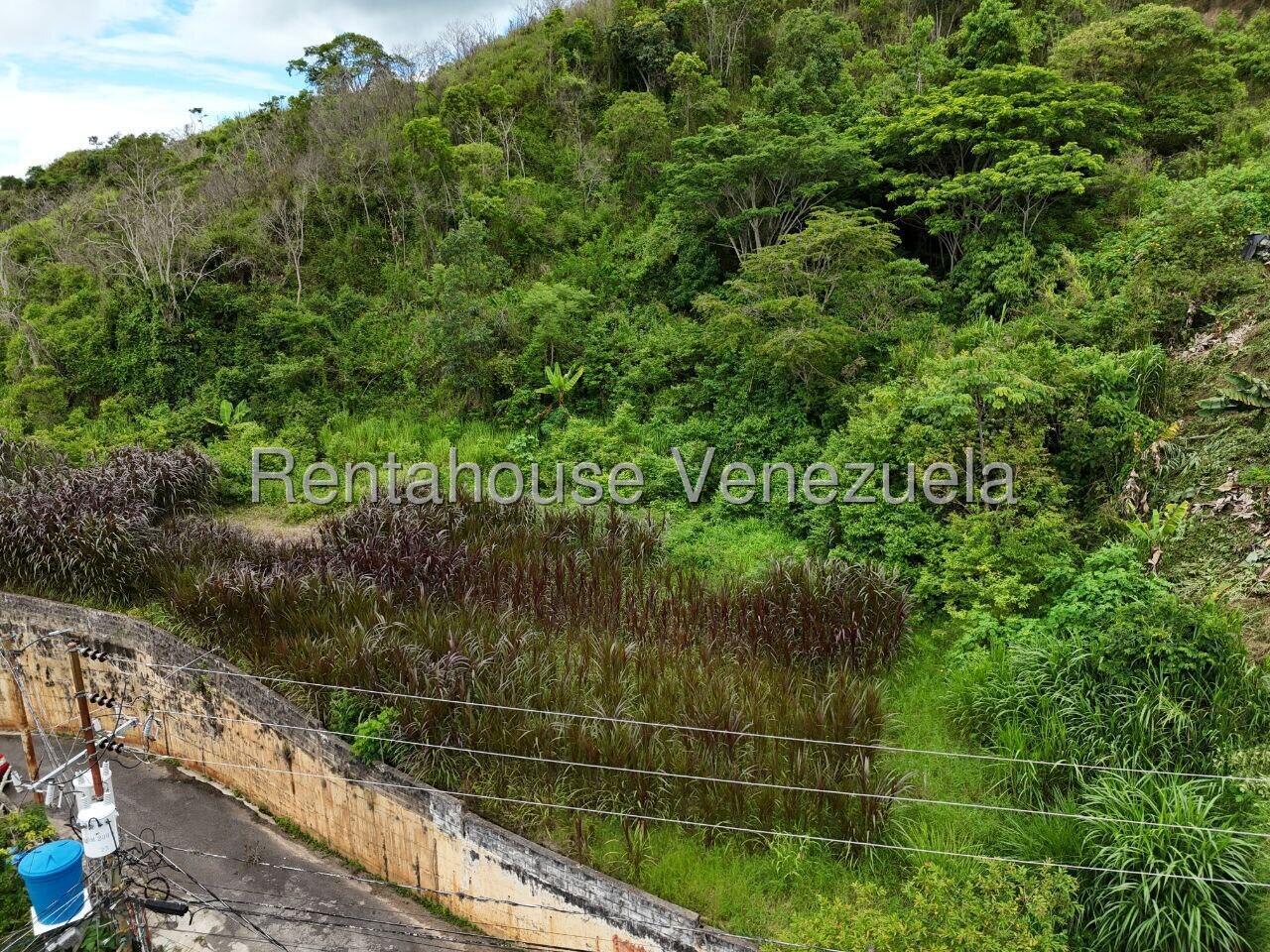 Terreno en venta en Caracas (La Union), foto 2 de 12
