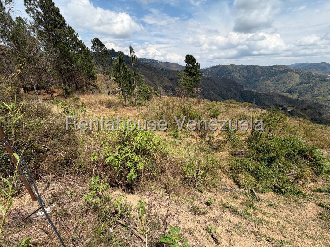 Terreno en venta en Caracas (Monte Elena), foto 3 de 12