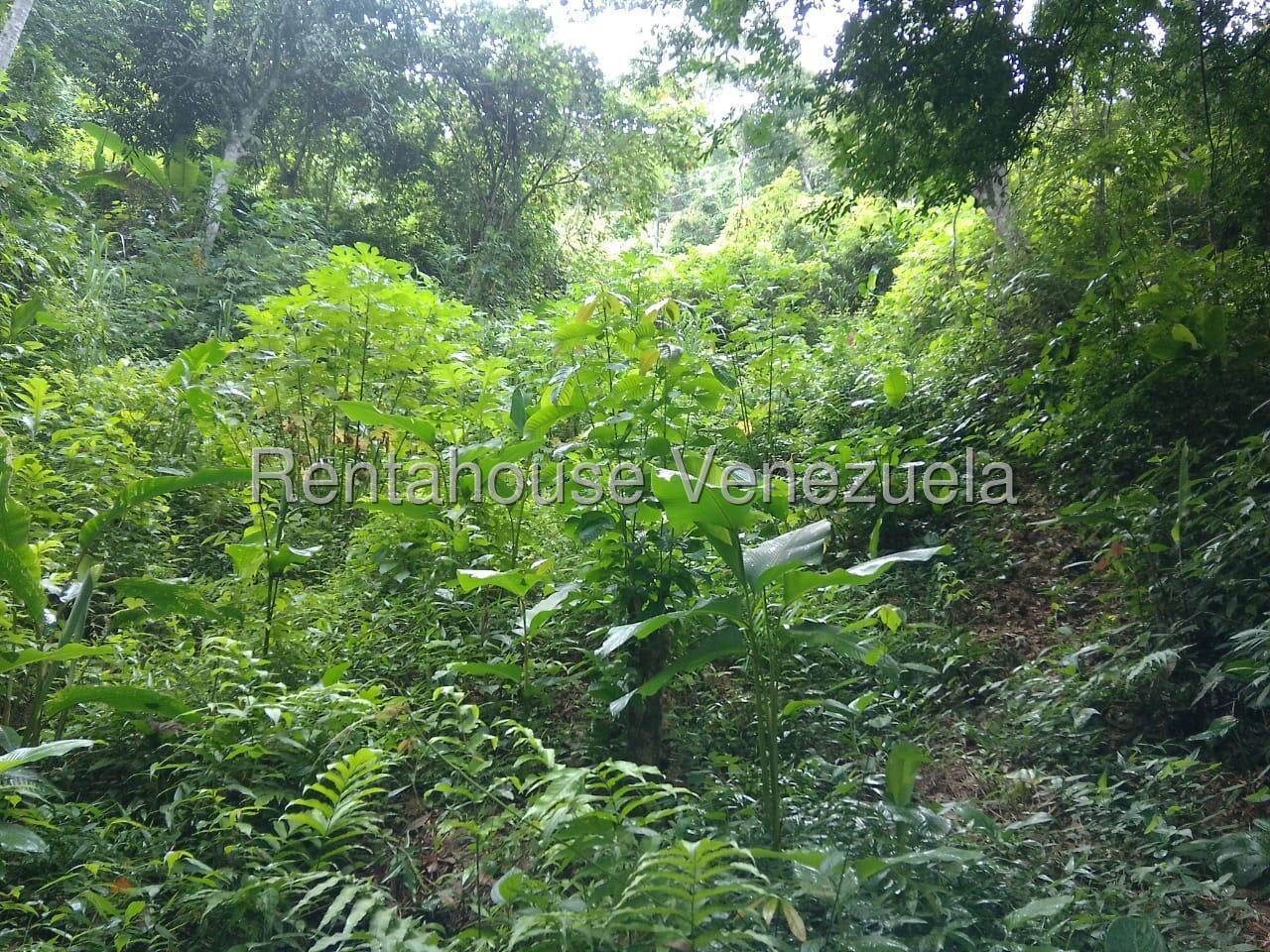 Terreno en venta en Caracas (El Hatillo), foto 2 de 12