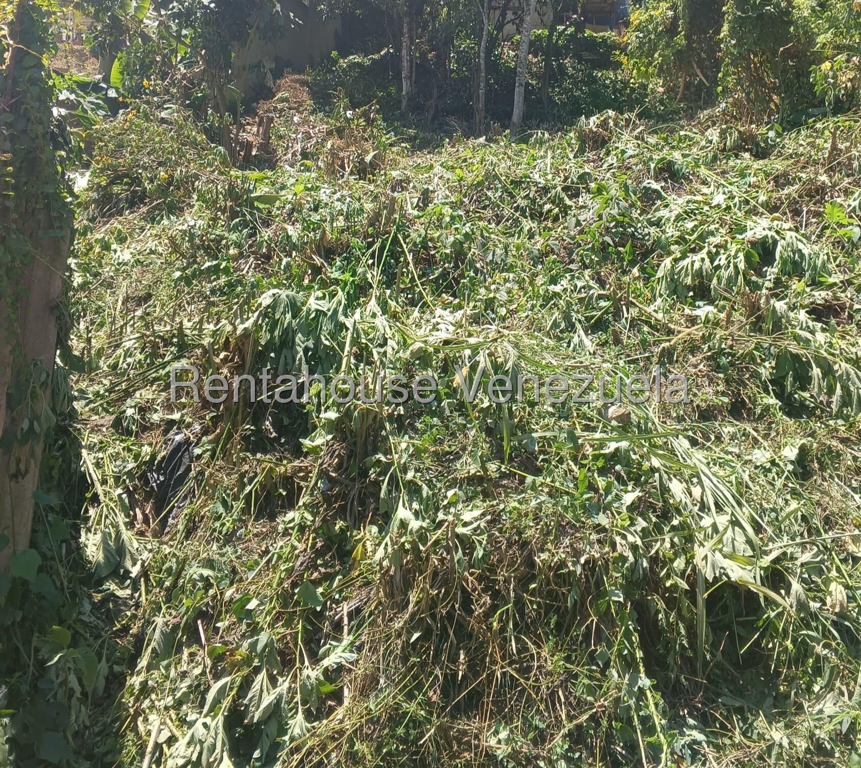 Terreno en venta en Caracas (Hoyo de La Puerta), foto 3 de 12