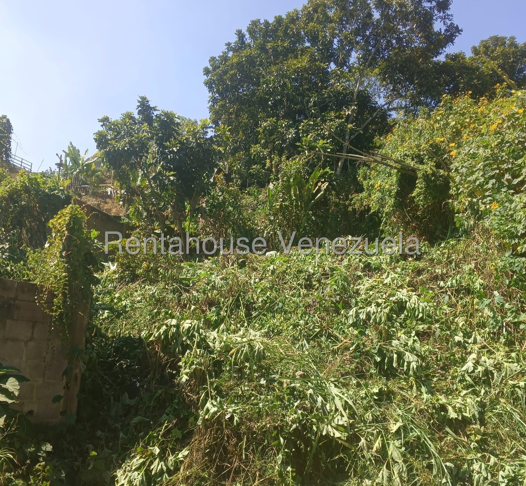Terreno en venta en Caracas (Hoyo de La Puerta), foto 4 de 12